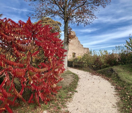 Löwenburg, © Touristik GmbH Gerolsteiner Land Löwenburg, © Touristik GmbH Gerolsteiner Land