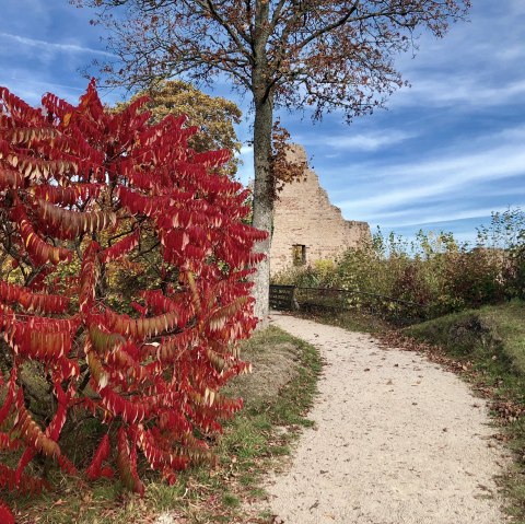 Löwenburg, © Touristik GmbH Gerolsteiner Land Löwenburg, © Touristik GmbH Gerolsteiner Land