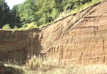 Erosiemuur met zichtbare lagen aarde, begroeid met bomen en struiken. De aarde vertoont verschillende kleurlagen., © Touristik GmbH Gerolsteiner Land Erosiemuur met zichtbare lagen aarde, begroeid met bomen en struiken. De aarde vertoont verschillende kleurlagen., © Touristik GmbH Gerolsteiner Land