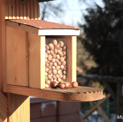 Wildtierhilfe Musterbild, © Canva Wildtierhilfe Musterbild, © Canva