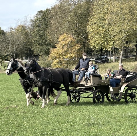 Kutschfahrt mit Familie über eine Wiese.
, © Heinz Schend In einer Holzkutsche, vor der zwei schwarze Pferde gespannt sind, sitzen zwei Erwachsene und zwei Kinder und fahren über eine Wiese.