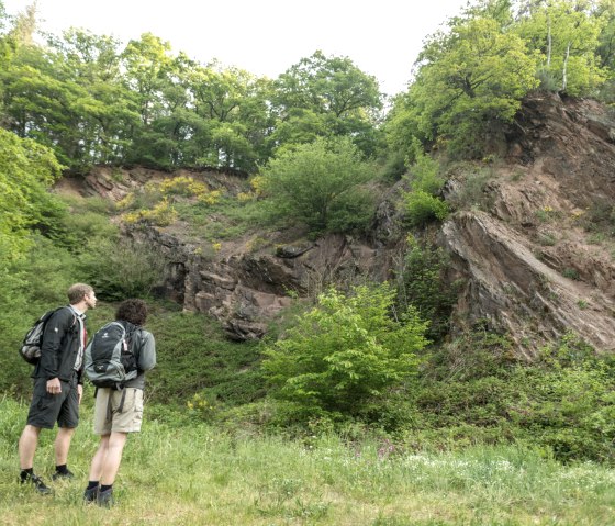 A look into the history of the earth on the Eifelsteig trail near Großlittgermühle, © Eifel Tourismus GmbH, D. Ketz A look into the history of the earth on the Eifelsteig trail near Großlittgermühle, © Eifel Tourismus GmbH, D. Ketz
