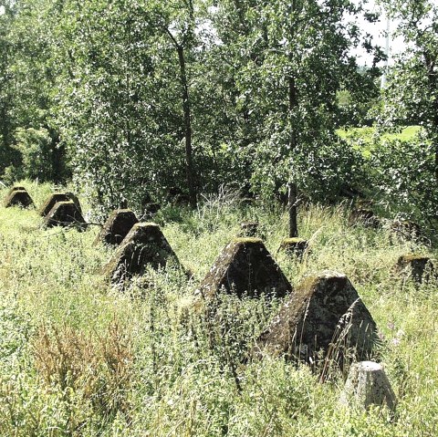 Westwall (1) Westwall (1)