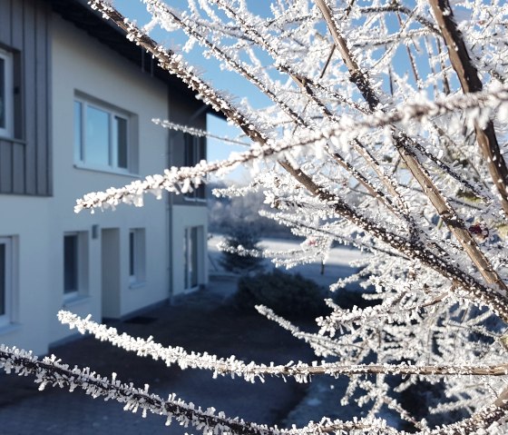 Einfahrt Winter 22, © Faber Einfahrt Winter 22, © Faber