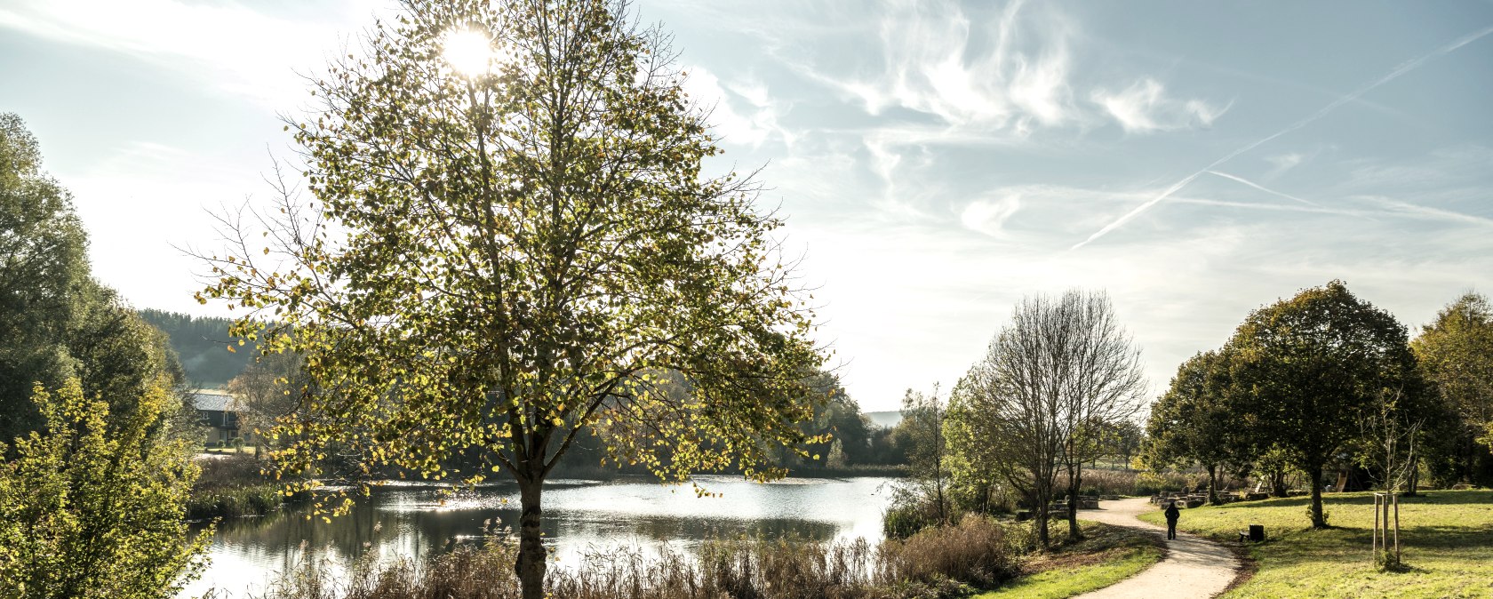 Eifelsteig-2019-118-Bolsdorfer Tälchen, Hillesheim, © Eifel Tourismus GmbH, Dominik Ketz Eifelsteig-2019-118-Bolsdorfer Tälchen, Hillesheim, © Eifel Tourismus GmbH, Dominik Ketz
