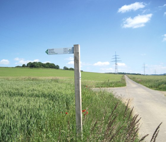 Ein Wegweiser steht in einer ländlichen Landschaft mit grünen Feldern und einem klaren blauen Himmel. Strommasten sind im Hintergrund sichtbar., © Touristik GmbH Gerolsteiner Land, Ute Klinkhammer Ein Wegweiser steht in einer ländlichen Landschaft mit grünen Feldern und einem klaren blauen Himmel. Strommasten sind im Hintergrund sichtbar., © Touristik GmbH Gerolsteiner Land, Ute Klinkhammer