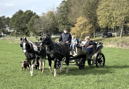 Kutschfahrten, © Heinz Schend Kutschfahrten, © Heinz Schend