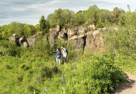 Steffeln vulkaantuin op het vulkanenpad, © Eifel Tourismus GmbH, Dominik Ketz Steffeln vulkaantuin op het vulkanenpad, © Eifel Tourismus GmbH, Dominik Ketz