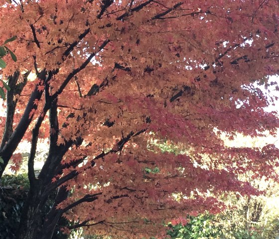 Herbst Herbst
