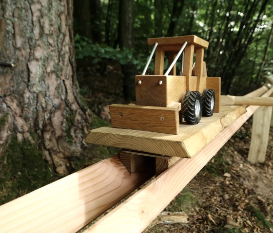 Waldkugelbahn mit Hinderniss, © Thomas Langens Waldkugelbahn mit Hinderniss, © Thomas Langens