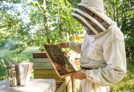 Musterbild Imker, © Canva Musterbild Imker, © Canva