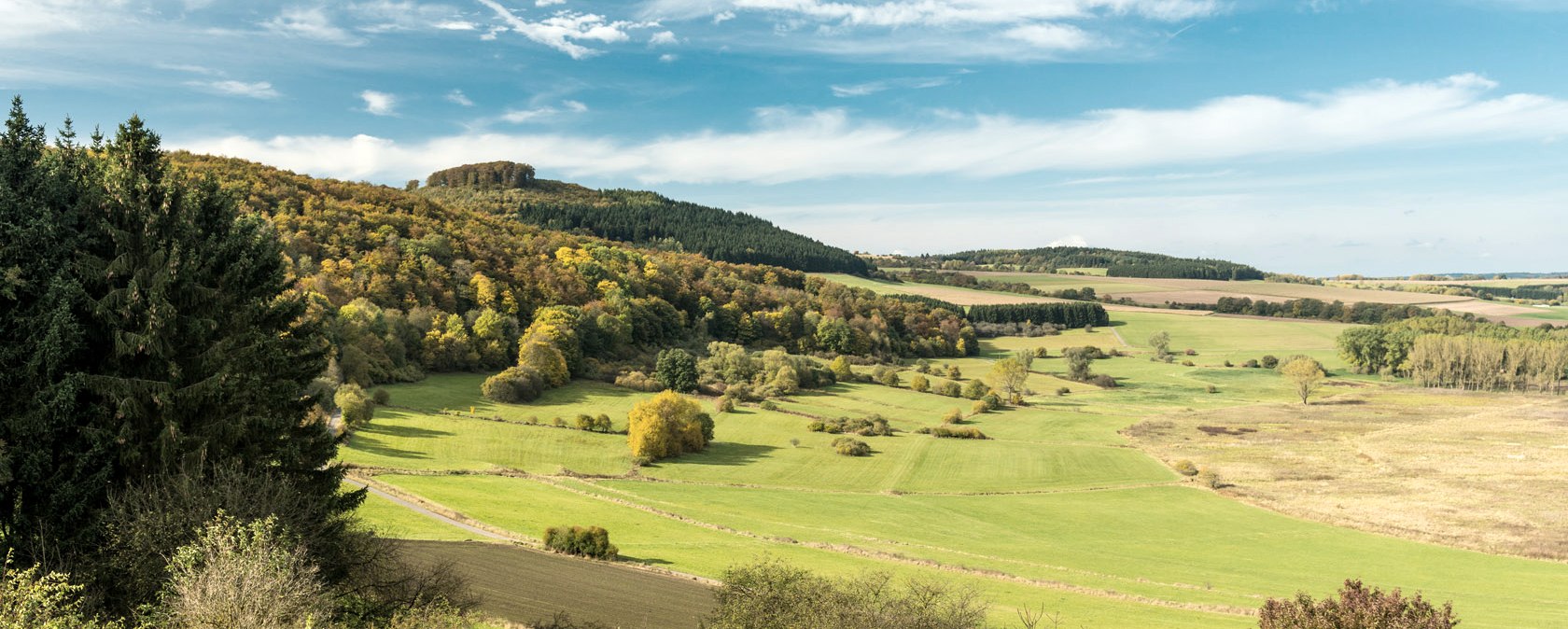 Dreiser Weiher on the Vulkangipfel-Pfad hiking trail, © Eifel Tourismus GmbH - D. Ketz Dreiser Weiher on the Vulkangipfel-Pfad hiking trail, © Eifel Tourismus GmbH - D. Ketz
