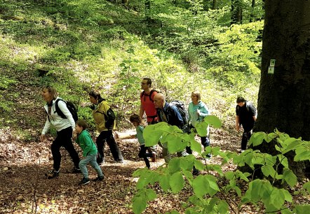 Wandergruppe am Nerother Kopf
, © Nicole Baller/TW Gerolsteiner Land GmbH Eine Gruppe aus acht Personen wandert auf einem mit laub bedeckten Waldweg einen Berg hinauf.