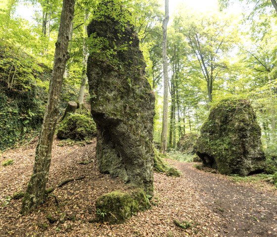 Een bospad met grote, met mos bedekte rotsen en herfstbladeren, omgeven door dicht, groen bos., © Eifel Tourismus GmbH, Dominik Ketz Een bospad met grote, met mos bedekte rotsen en herfstbladeren, omgeven door dicht, groen bos., © Eifel Tourismus GmbH, Dominik Ketz