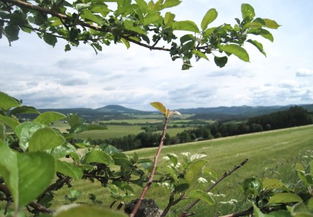 Ausblick Leudersdorf, © Touristik GmbH Gerolsteiner Land, Ute Klinkhammer Ausblick Leudersdorf, © Touristik GmbH Gerolsteiner Land, Ute Klinkhammer
