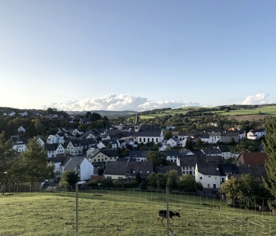 Panoramic view of Stadtkyll with houses, green fields and a blue sky. A fence and a grazing animal in the foreground., © Touristik GmbH Gerolsteiner Land, Leonie Post