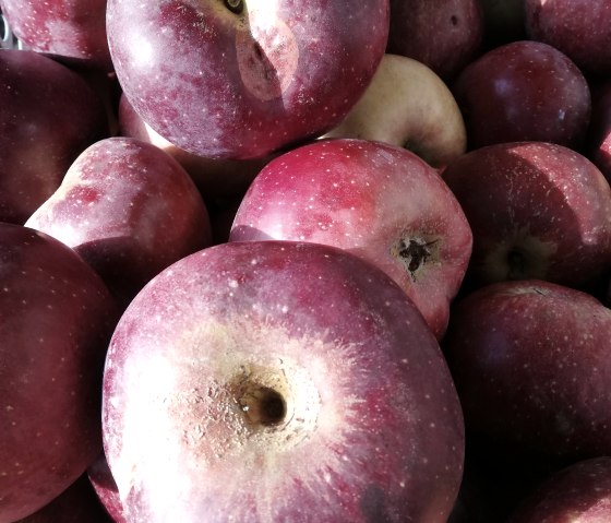 mobile Saftpresse, &copy; Hanne Bernardy