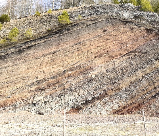 Sloping layers of rock at the Rockeskyller Kopf, overgrown with trees at the top. The layers show different earth tones., © Touristik GmbH Gerolsteiner Land, Ute Klinkhammer