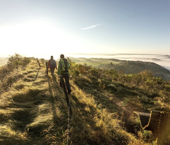 Eifelsteig Wanderer Rother Kopf, &copy; Eifel Tourismus GmbH, Dominik Ketz