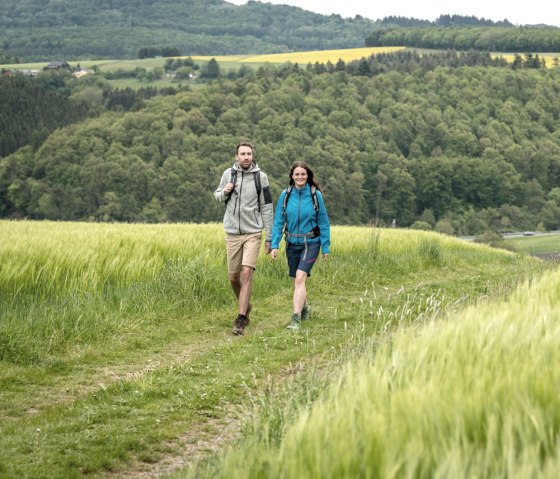 Wandeling door velden en weiden op de Hochkelberg Panorama Trail, © Eifel Tourismus GmbH, D. Ketz