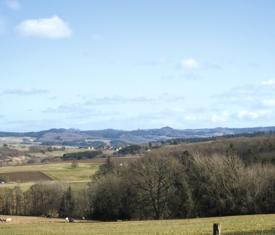 Wide landscape with fields, forests and hills under a blue sky near Nohn. Cows graze on a meadow in the foreground., © Touristik GmbH Gerolsteiner Land, Ute Klinkhammer