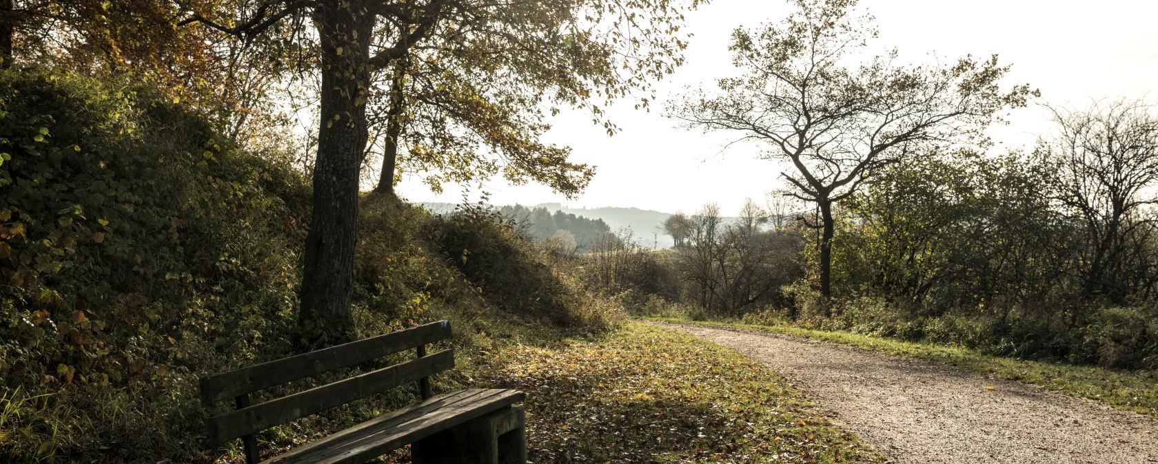 Nature trail through the Bolsdorf valley surrounded by trees., © Eifel Tourismus GmbH, Dominik Ketz