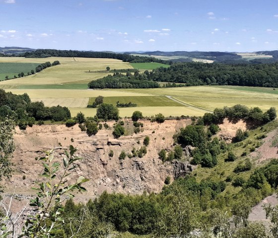 Uitgestrekt landschap met groene velden, bomen en een steile helling onder een helderblauwe hemel., © Touristik GmbH Gerolsteiner Land, Ute Klinkhammer