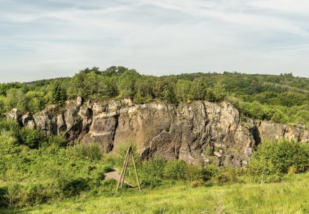Blick auf den Vulkangarten Steffeln, &copy; Eifel Tourismus GmbH, Dominik Ketz