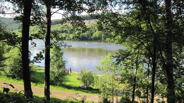 Ein ruhiger See umgeben von grünen Bäumen und Wiese. Menschen genießen die Natur am Ufer.