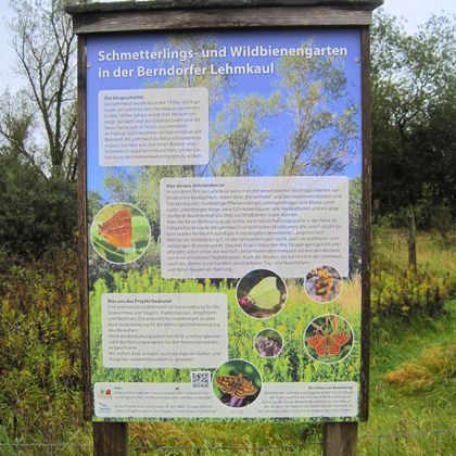 Informationstafel über Schmetterlings- und Wildbienengärten in der Berndorfer Lehmkaul.