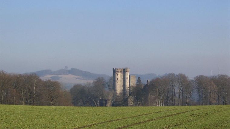Ein alter Turm steht in der Mitte eines grünen Feldes, umgeben von Bäumen. Im Hintergrund sind sanfte Hügel zu sehen.