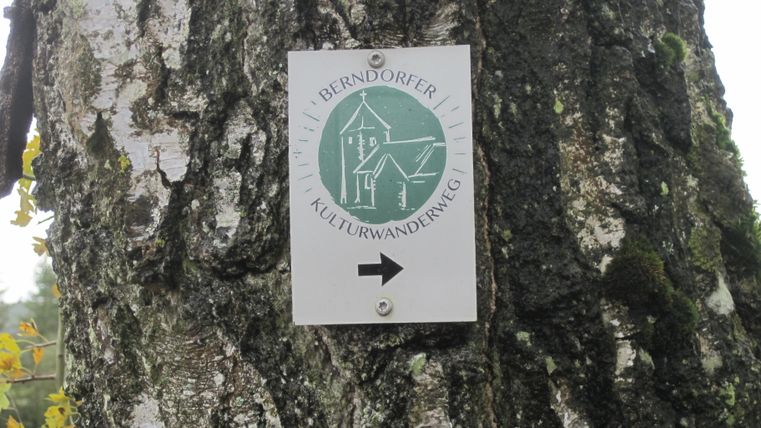 Schild am Baum mit Aufschrift 'Berndorfer Kulturwanderweg' und Pfeil nach rechts.