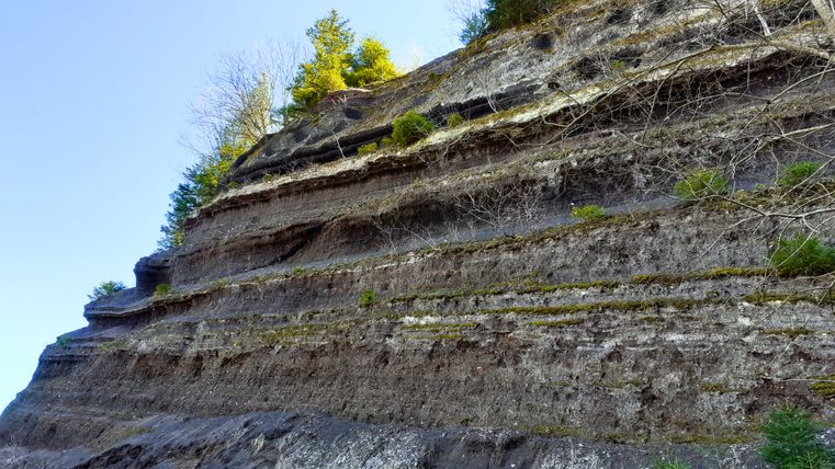 Gesteinsschichten am Rockeskyller Kopf mit Vegetation.