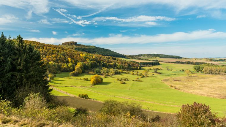 Landschaft mit grünen Wiesen, bewaldeten Hügeln und blauem Himmel.