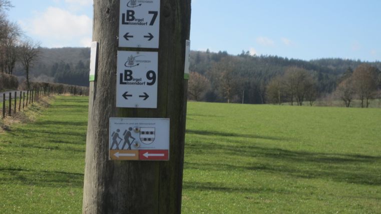 Wegweiser in einer ländlichen Landschaft mit grünen Feldern und Wald im Hintergrund.