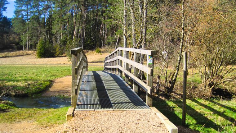 Eine kleine Holzbrücke überquert einen Bach in einer ländlichen Landschaft mit Bäumen im Hintergrund.