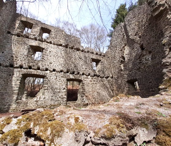 Ruins of an old stone castle with several window openings. The walls are made of rough stone, surrounded by trees and moss., &copy; Touristik GmbH Gerolsteiner Land, Ute Klinkhammer