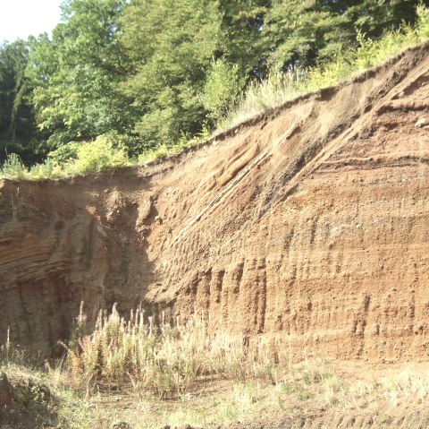 Erosionswand mit sichtbaren Erdschichten, oben bewachsen mit Bäumen und Sträuchern. Die Erde zeigt verschiedene Farbschichten., © Touristik GmbH Gerolsteiner Land