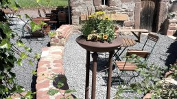 Sommer Blumen, © Susanna Schoos