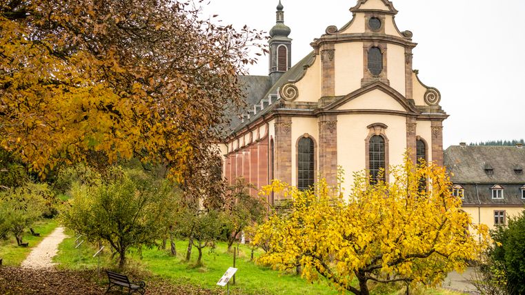 Autumn scene at Himmerod Monastery with yellow and brown leaves, a path and a bench.