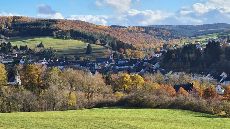 Panorama von Stadtkyll mit Hügeln und Herbstbäumen.