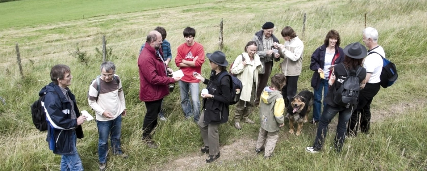 Krimif&uuml;hrung, &copy; Nebel