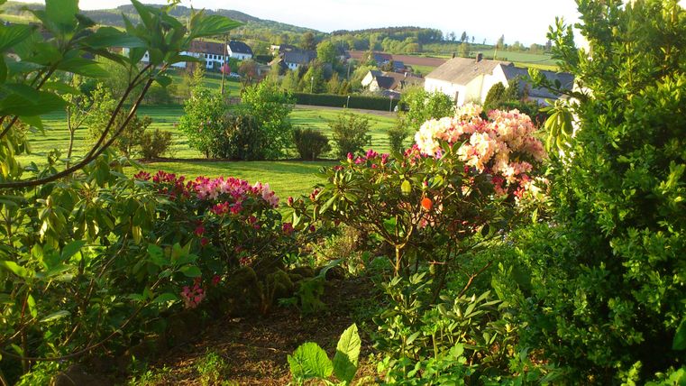 Eine blühende Gartenlandschaft mit bunten Sträuchern und einem Blick auf das Umland. Im Hintergrund sind Häuser und sanfte Hügel zu sehen.