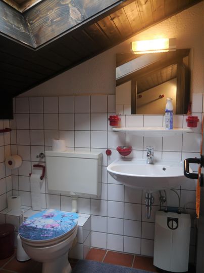 Ein Badezimmer mit einem WC, Waschbecken und einem schrägen Dach. Die Wände sind gefliest und es gibt eine helle Deckenleuchte.