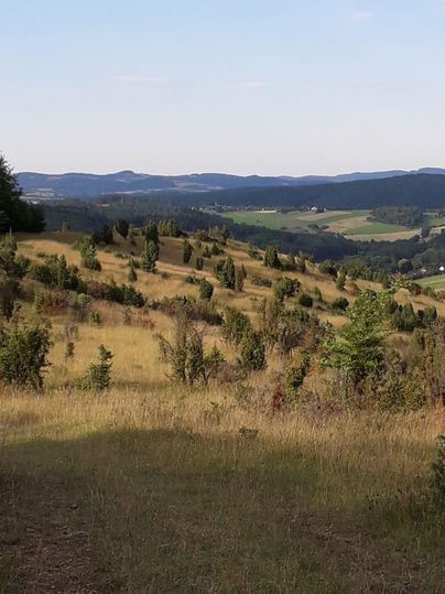 Eine malerische Landschaft mit sanften Hügeln und grünen Bäumen. Der Himmel ist klar und die Umgebung wirkt friedlich.