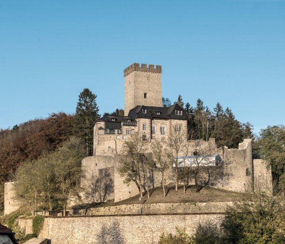 Burg Kerpen thront auf einem Hügel, umgeben von Bäumen. Ein hoher Turm und mittelalterliche Mauern sind sichtbar, unter einem klaren blauen Himmel., © Eifel Tourismus GmbH, Dominik Ketz