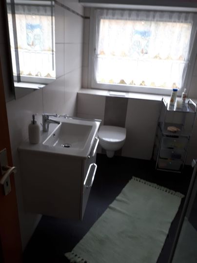 Ein modernes Badezimmer mit Waschbecken und Toilette. Zwei Fenster sorgen für Tageslicht und eine helle Atmosphäre.