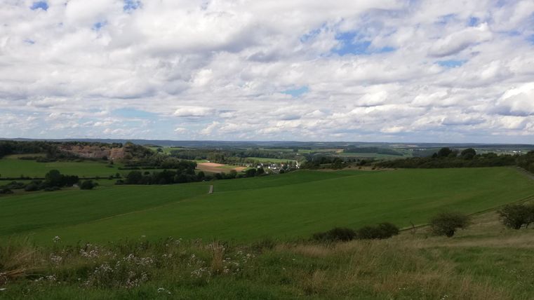 Weite grüne Landschaft mit Feldern und Bäumen unter einem bewölkten Himmel. Im Hintergrund sind Hügel und ein Dorf zu sehen.