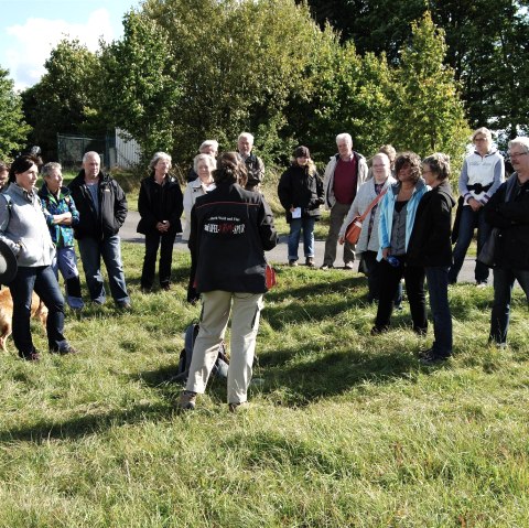 Wanderung, &copy; Nebel