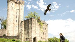 Adler & Wolfspark Kasselburg, Pelm, &copy; Eifel Tourismus GmbH, Dominik Ketz